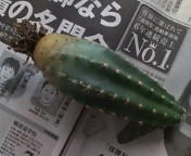 20090715152104.jpg