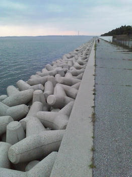 衣浦１４号地