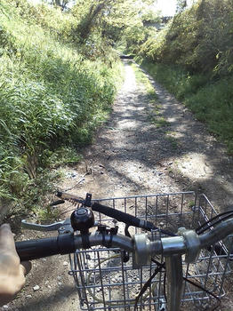 20100425_03.jpg