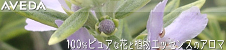 aveda.jpg