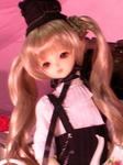 08031811.jpg