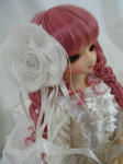 08042101.jpg