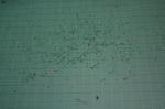 2010060406.jpg
