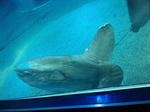 DVC00623-s.jpg