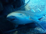 DVC00630-s.jpg
