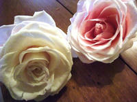 25d130d8.jpg