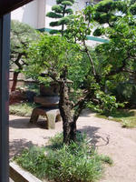 79f43f6c.jpg