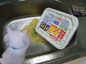 やっちまった