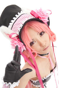 sakuraihinoki001