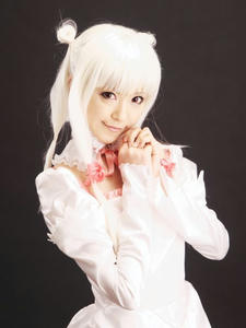 sakuraihinoki008