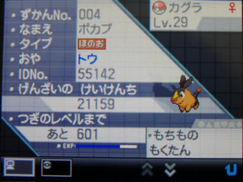 湖氷堂のポケモンホワイトメンバー紹介ver 1 女帝ポッチャマの午後のひととき
