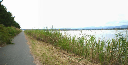 e8552437.jpg