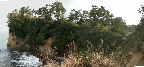f929f09f.jpg