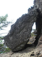 629d7a2f.jpg
