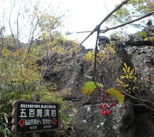772c07e3.jpg