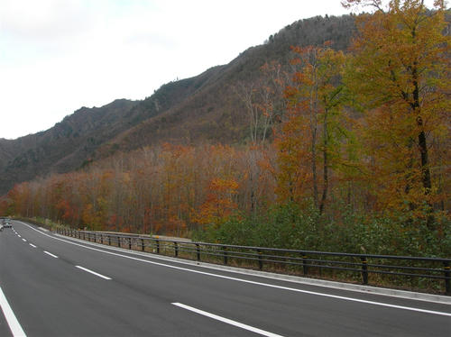0b58f0e3.jpg