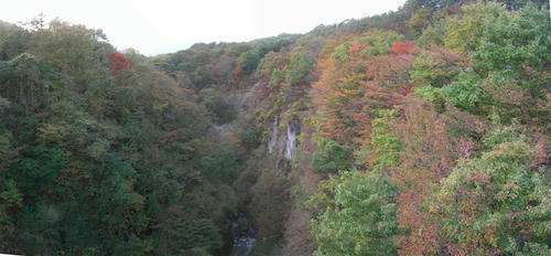 f0fa7120.jpg