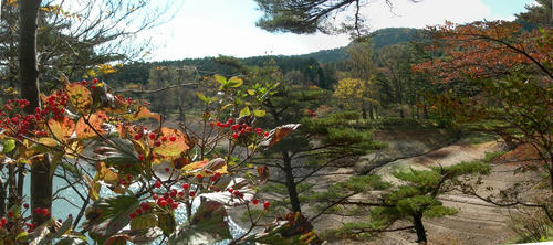 80f788c4.jpg
