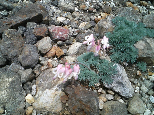 PAP_0378_R.jpg