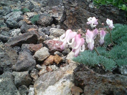 PAP_0379_R.jpg
