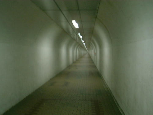 DSCF0017.JPG