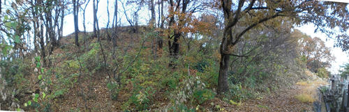 Stitched_004_R.jpg
