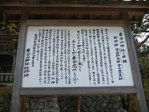 0be8f87f.jpg
