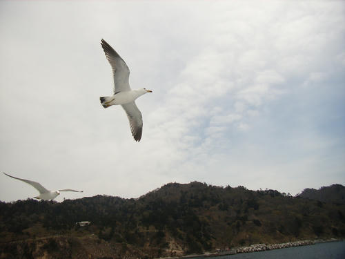 9015371a.jpg