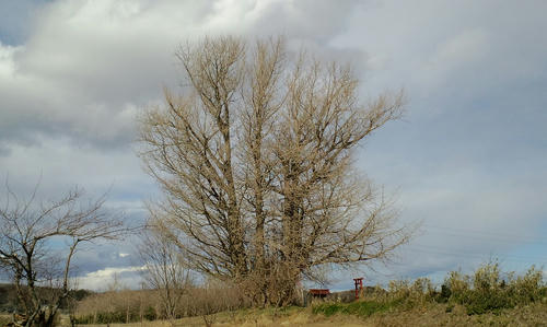3f26ef39.jpg