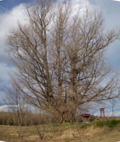 s-Stitched_015.jpg