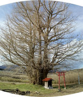 Stitched_007_R.jpg