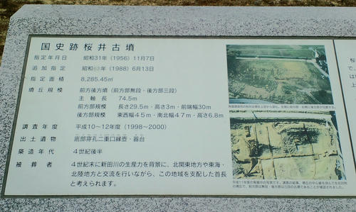 b72c43d4.jpg