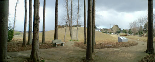 s-Stitched_008.jpg