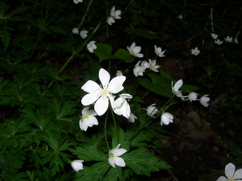 20f829c2.jpg
