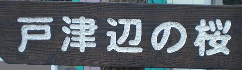 69be7a69.jpg