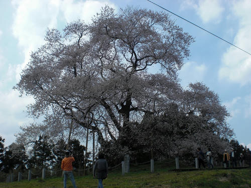 9abf02d6.jpg