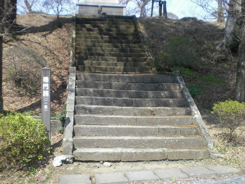 26666c54.jpg