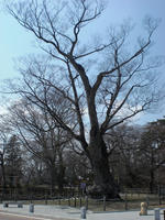 3ab0820c.jpg