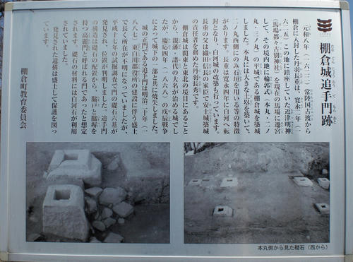 10045132.jpg