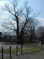 85b3079f.jpg