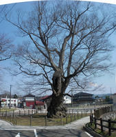 35a44abb.jpg