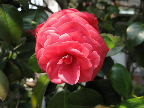 d19ae48c.jpg