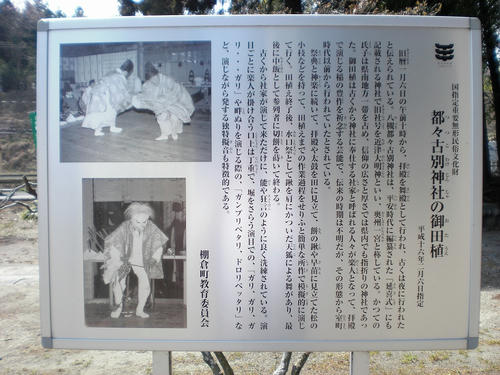f969c708.jpg