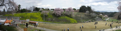 017346b7.jpg