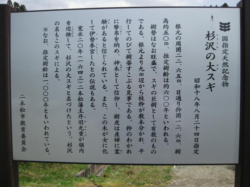 4c75f08e.jpg