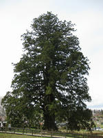 bcd37d66.jpg