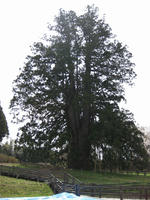 555b1227.jpg