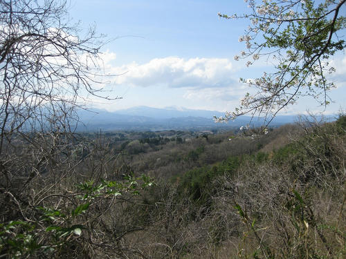 75af98a0.jpg