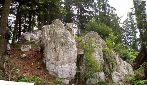 d0c99637.jpg
