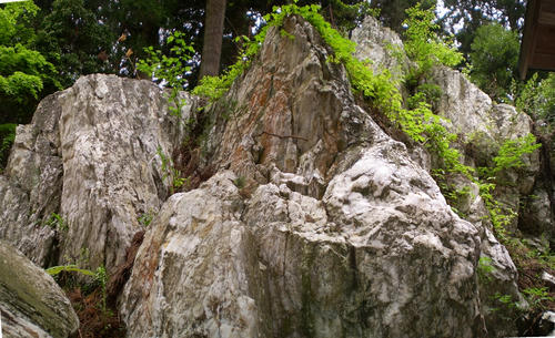 Stitched_008_R.jpg
